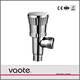 Vaote